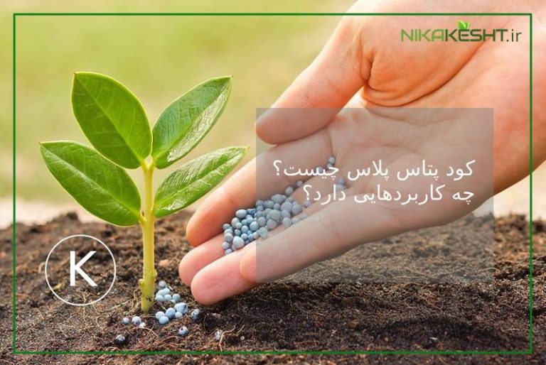کود پتاس پلاس چیست؟