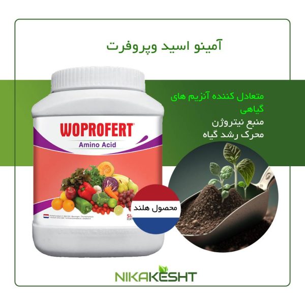 آمینو اسید وپروفرت ۱ کیلویی