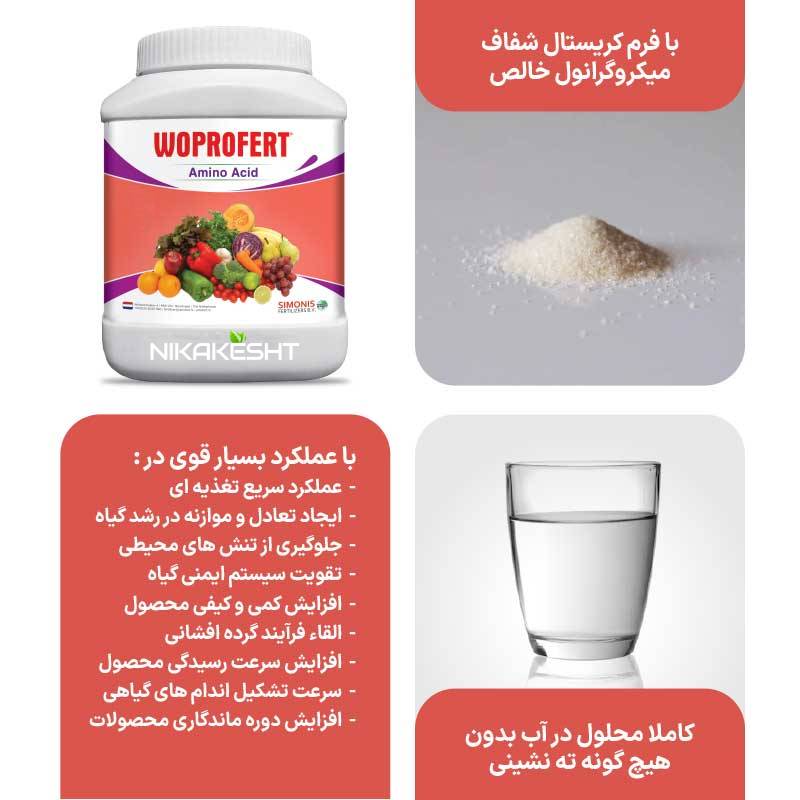 آمینو اسید وپروفرت ۱ کیلویی