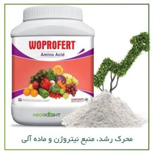آمینو اسید وپروفرت ۱ کیلویی