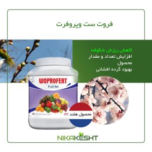 فروت ست وپروفرت ۱ کیلویی