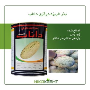 بذر خربزه درگزی داناب