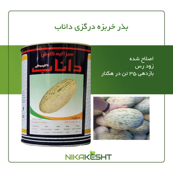 بذر خربزه درگزی داناب