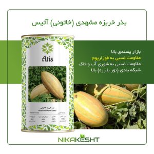 بذر اصلاح شده خربزه مشهدی آتیس