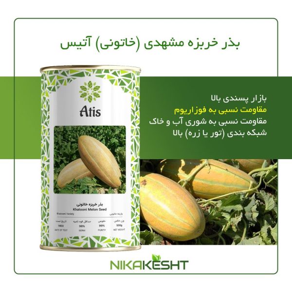 بذر اصلاح شده خربزه مشهدی آتیس