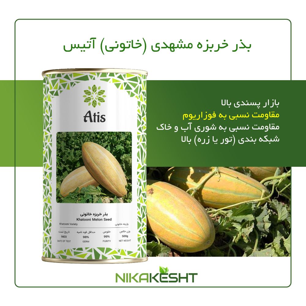 بذر اصلاح شده خربزه مشهدی آتیس