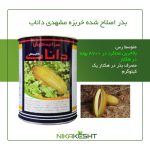بذر اصلاح شده خربزه مشهدی داناب