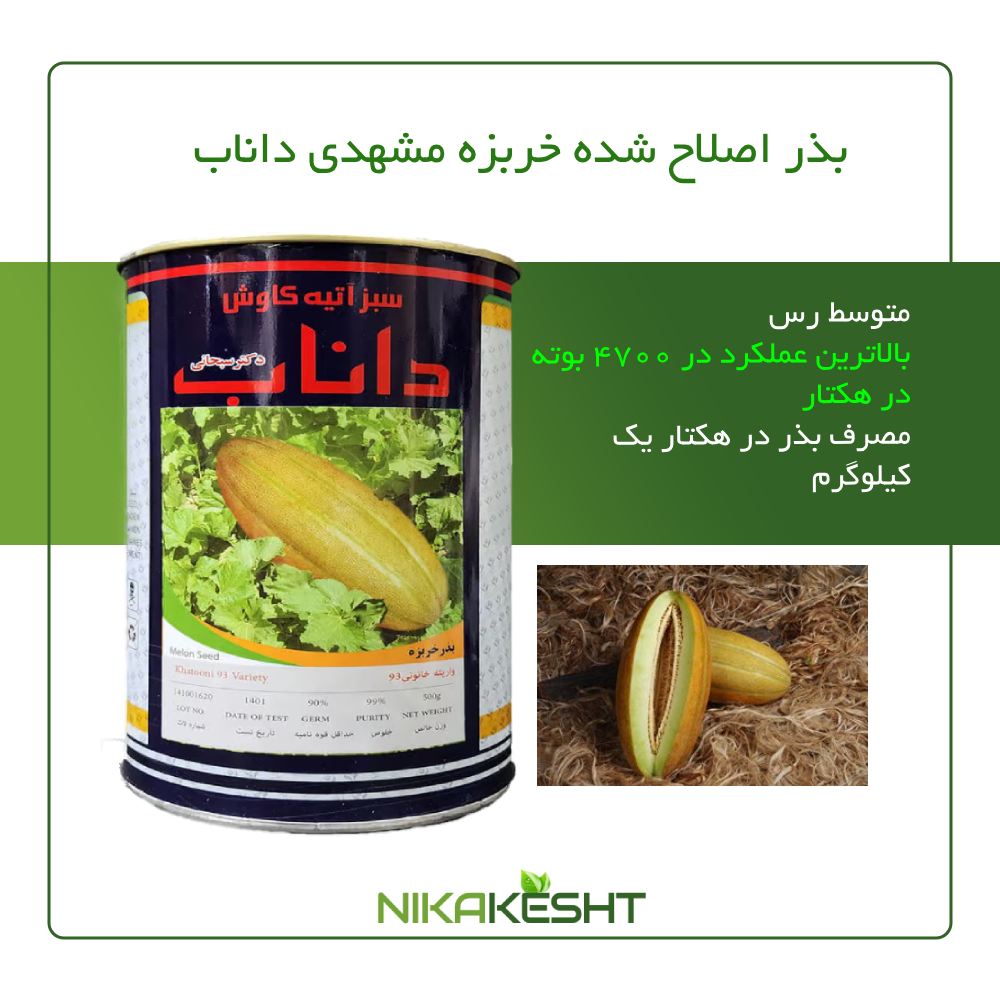 بذر اصلاح شده خربزه مشهدی داناب