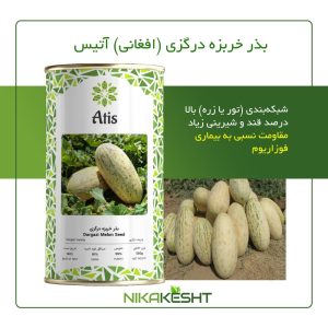 بذر اصلاح شده خربزه درگزی آتیس