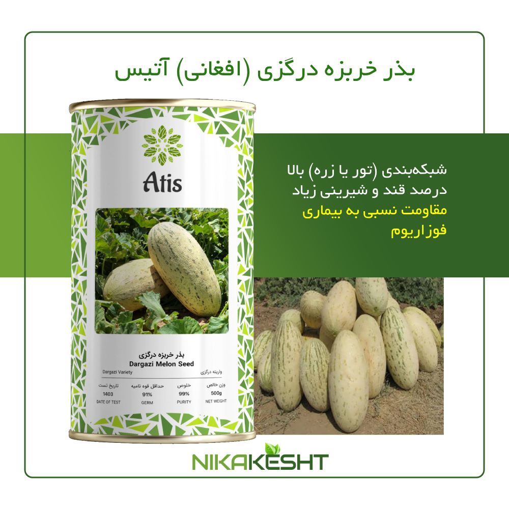 بذر اصلاح شده خربزه درگزی آتیس