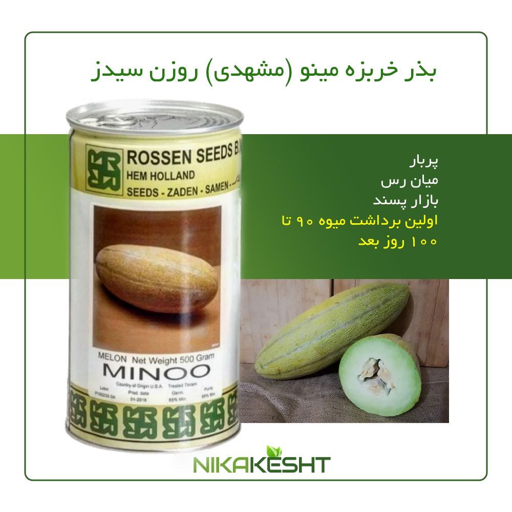 بذر خربزه مینو روزن سیدز هلندی