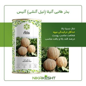 بذر طالبی آتیلا آتیس