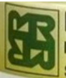روزن سیدز