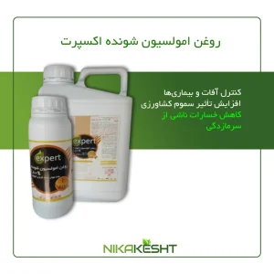 روغن ولک اکسپرت