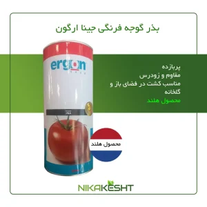 بذر گوجه فرنگی جینا ارگون