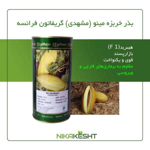 بذر خربزه مینو (مشهدی) گریفاتون فرانسه