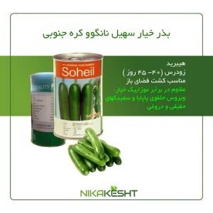 بذر خیار سهیل نانگوو