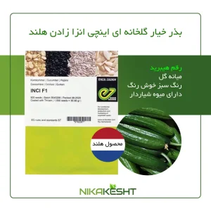 بذر خیار گلخانه ای اینجی انزا زادن