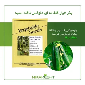 بذر هیبرید خیار گلخانه ای دلوکس تاکادا سید