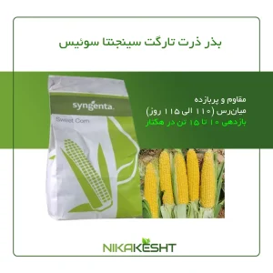 بذر ذرت تارگت سینجنتا ۲۰۲۴