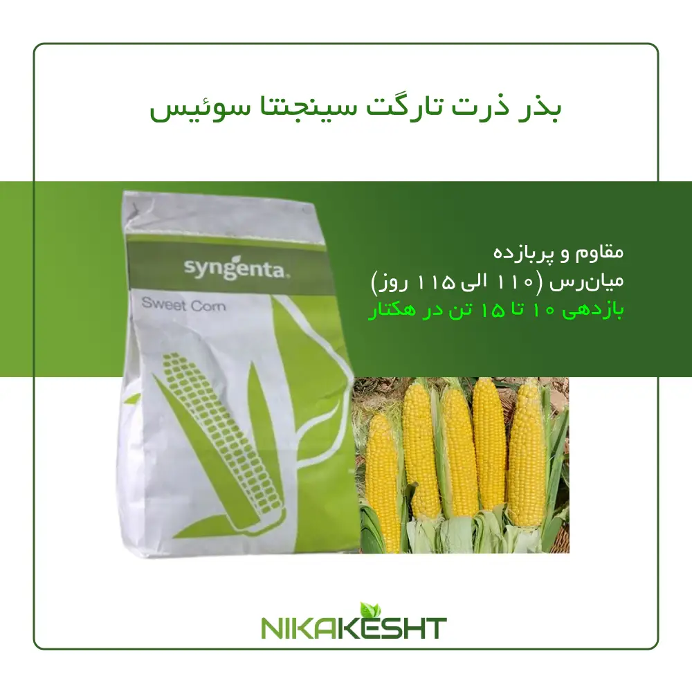 بذر ذرت تارگت سینجنتا ۲۰۲۴