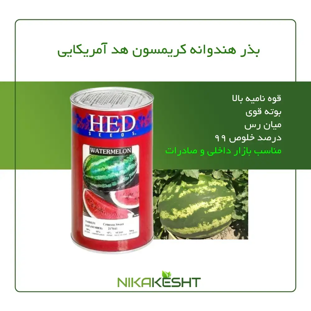 بذر هندوانه کریمسون هد آمریکایی ۲۰۲۱