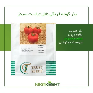 بذر گوجه فرنگی نائل تراست سیدز