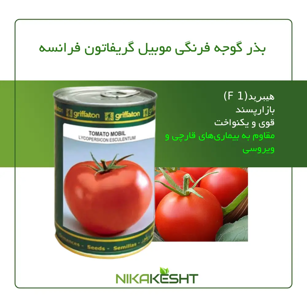 بذر گوجه فرنگی موبیل گریفاتون ۱۰۰ گرمی