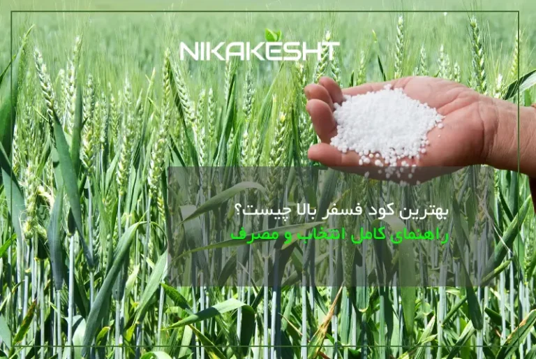 بهترین کود فسفر بالا چیست؟