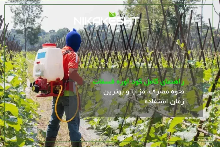 راهنمای کامل کود اوره فسفات