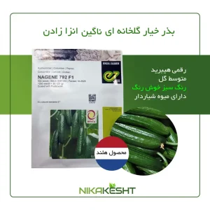 بذر خیار گلخانه ای ناگین انزا زادن هلند