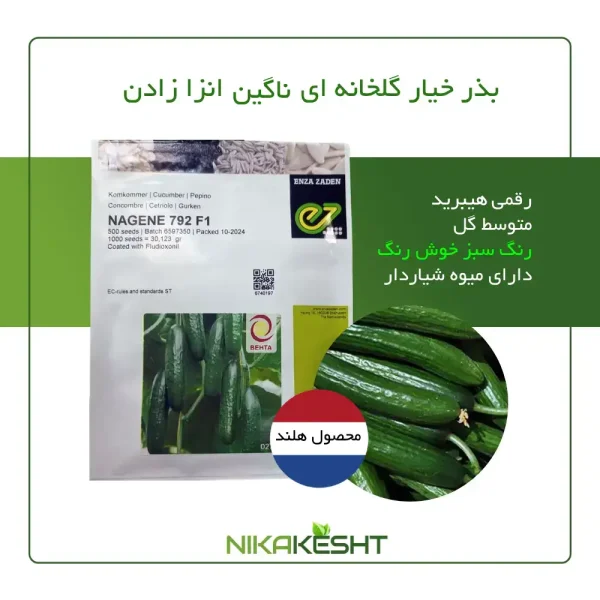 بذر خیار گلخانه ای ناگین انزا زادن هلند
