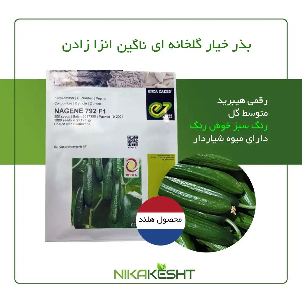 بذر خیار گلخانه ای ناگین انزا زادن هلند