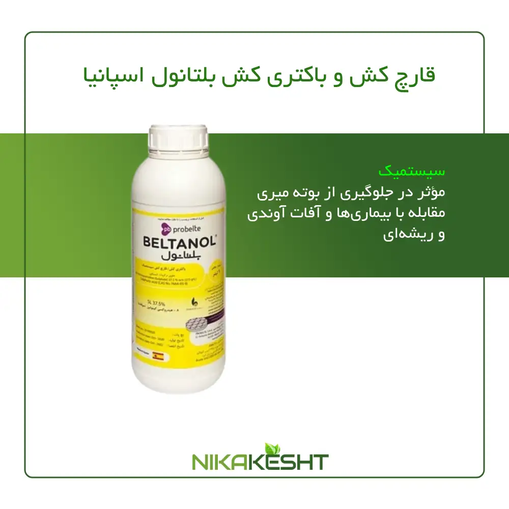 قارچ کش بلتانول اسپانیا