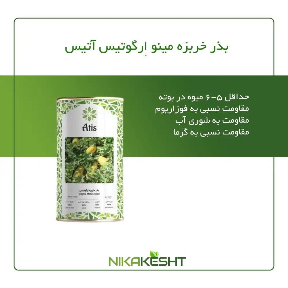 بذر خربزه مینو ارگون آتیس (ارگوتیس)