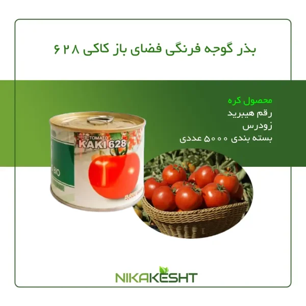 بذر گوجه فرنگی کاکی ۶۲۸ (فضای باز)