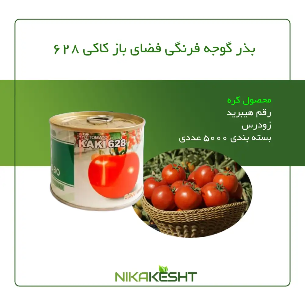 بذر گوجه فرنگی کاکی ۶۲۸ (فضای باز)