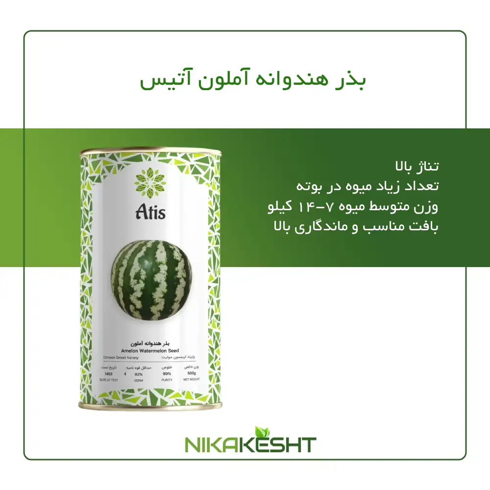 بذر هندوانه آملون آتیس