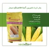 بذر ذرت شیرین آمیلا فلامینگو سیدز