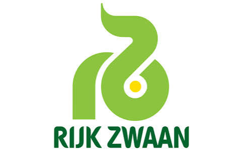 رکزوان