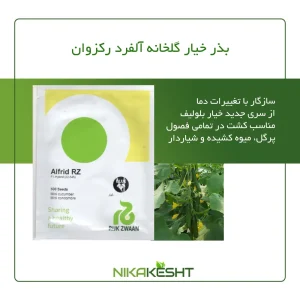 بذر خیار گلخانه ای آلفرد رکزوان
