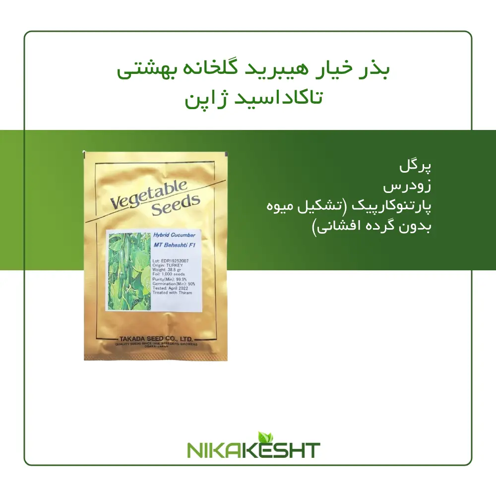 بذر خیار گلخانه ای بهشتی تاکاداسیدز