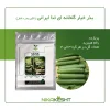 بذر خیار گلخانه ای ثنا