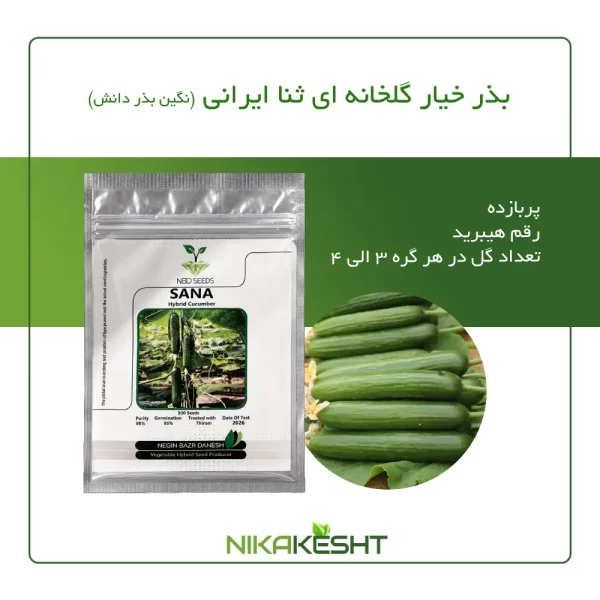 بذر خیار گلخانه ای ثنا