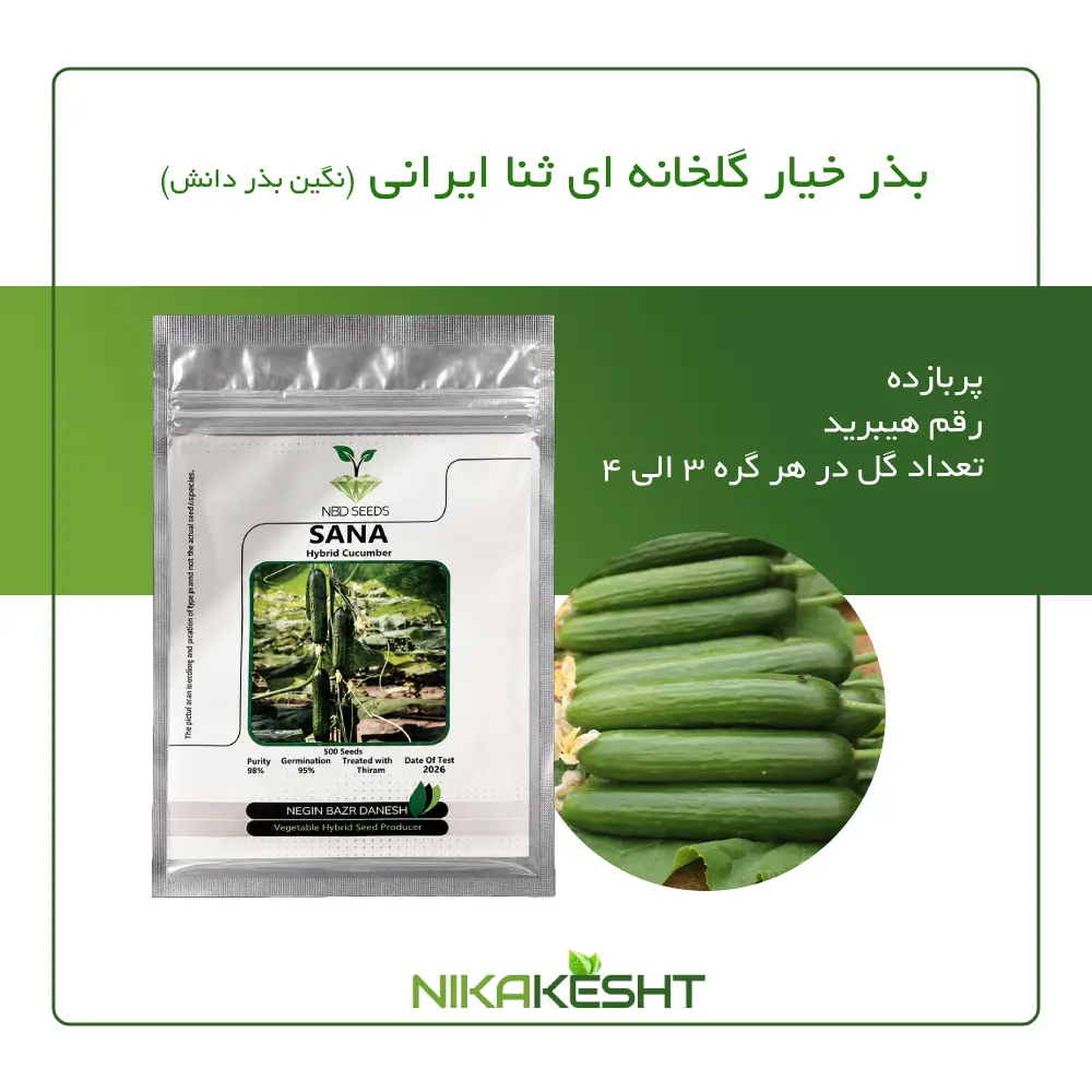 بذر خیار گلخانه ای ثنا