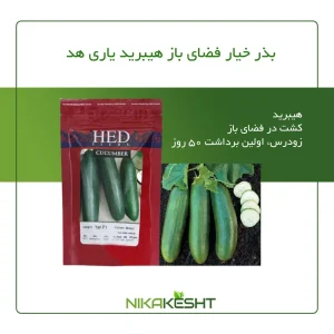 بذر خیار هیبرید یاری هد سیدز