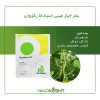 بذر خیار مینی اسپادانا