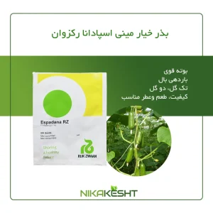 بذر خیار مینی اسپادانا