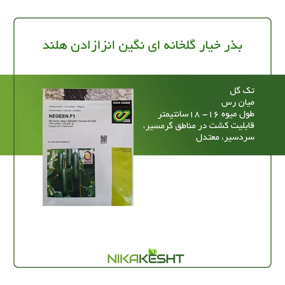 بذر خیار هیبرید گلخانهای نگین F1 انزازادن هلند