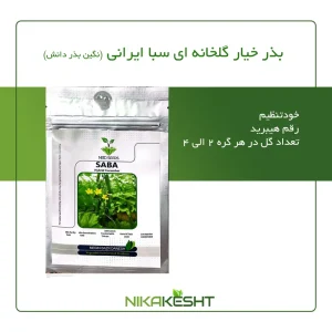 بذر خیار گلخانه ای سبا ایرانی
